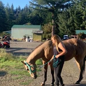 Meet your Posher, Holly